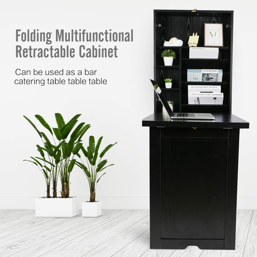 Wall Mount Fold Out Desk with Storage